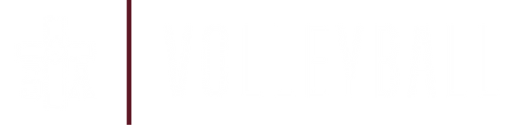 DESIGN | STA Volleyball | Simple