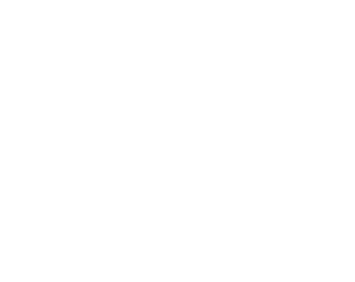 STA Softball | Plate