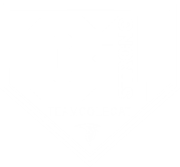 DESIGN | STA| 31 Strong